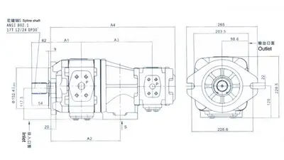 HL21 Double Gear Pumps