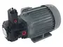 HSW Series Vane Pump/Motor Unit